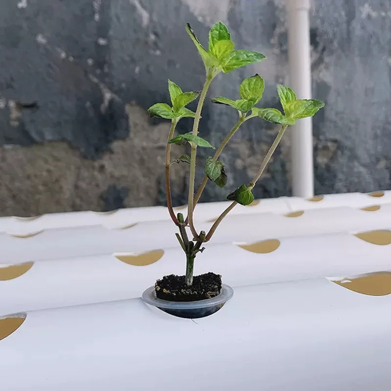 土を使わない栽培システムキット、PVCパイプを使用した水耕栽 - Hydroponic Kit のレビューと価格