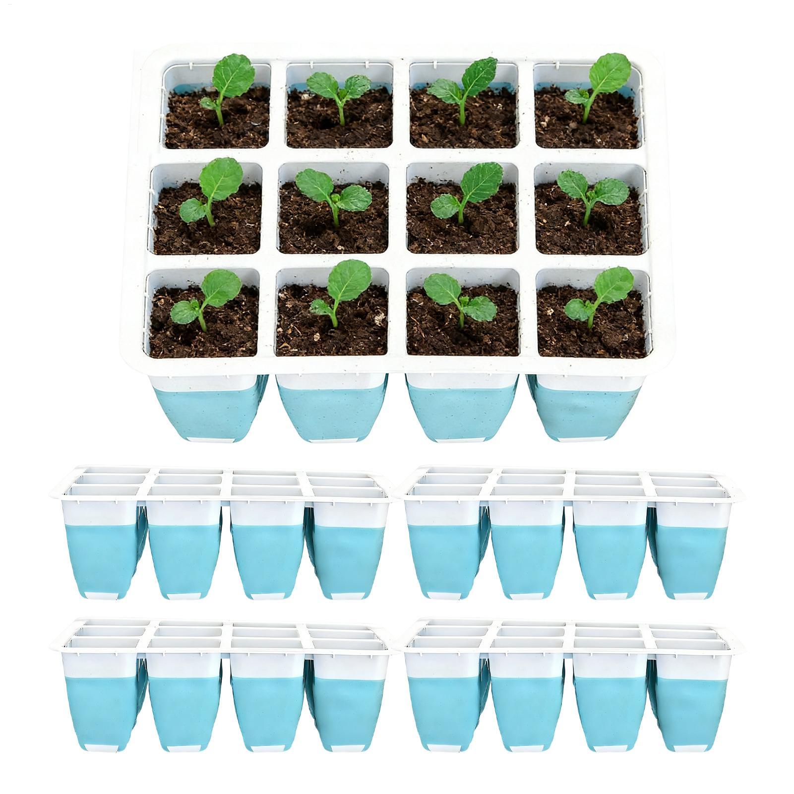 5パックシリコン製種まきトレイ60セル再利用可能な苗発芽スク - Seed Starter Tray のレビューと価格