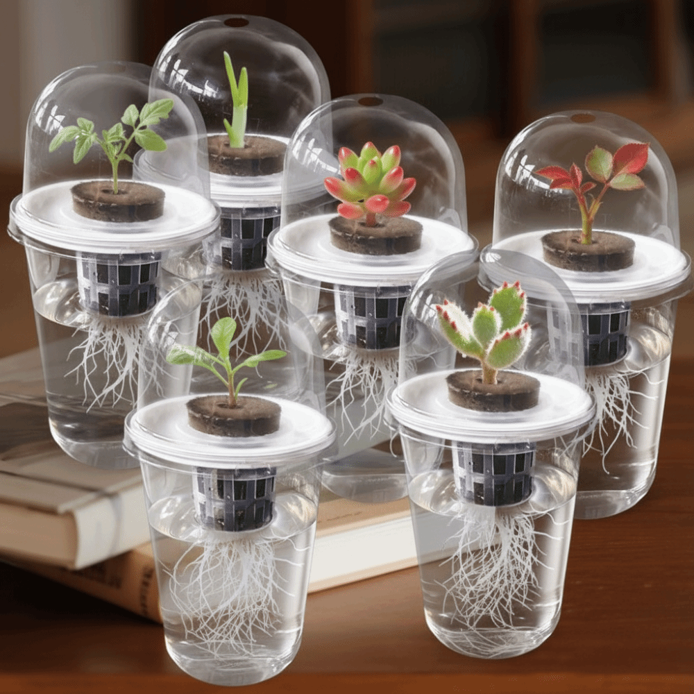 1～5個入り 透明な植物発芽カップ 水耕栽培種子プランターポ - Pruning Shears のレビューと価格