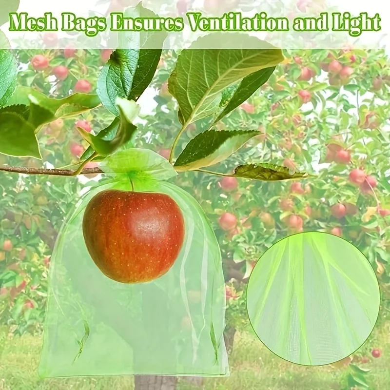 100個入り グリーン保護バッグ ジッパー付き、果樹用、植物 - Grow Bag のレビューと価格