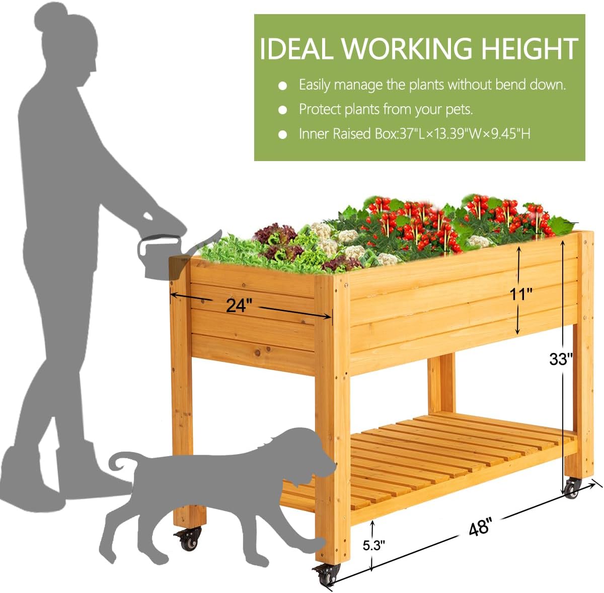 移動式木製高床式菜園、天然木、ホイールとライナー付き、パティ - Raised Garden Bed のレビューと価格