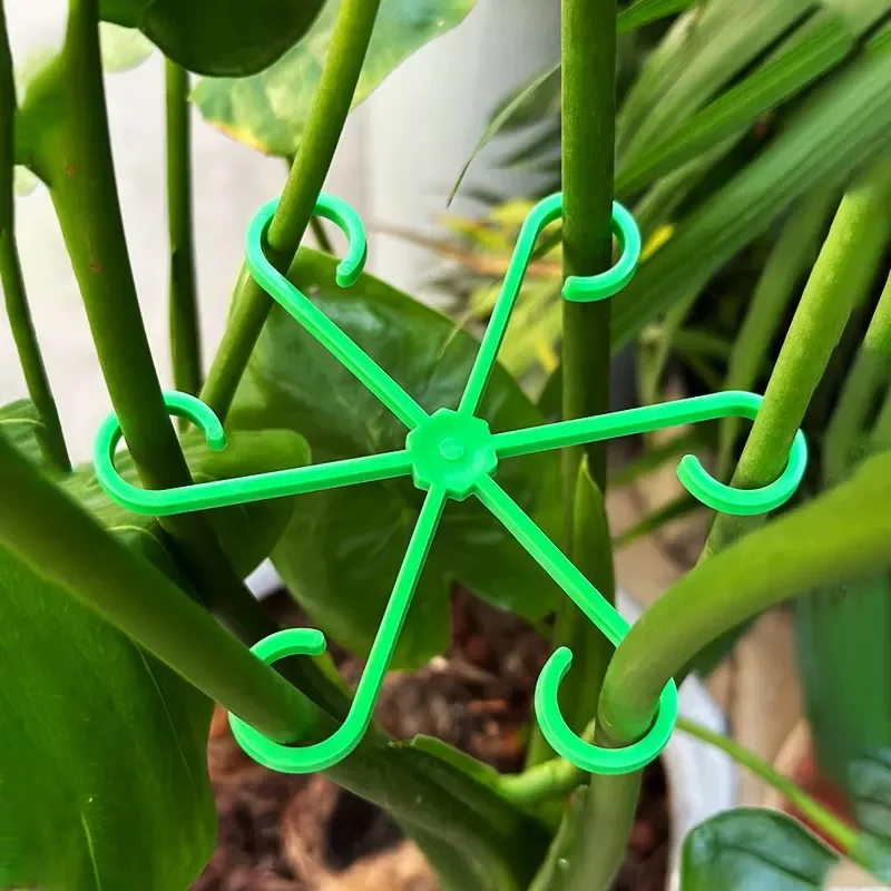 花植物茎サポートステーククライミング観葉植物スタンドフレーム - Indoor Herb Garden のレビューと価格