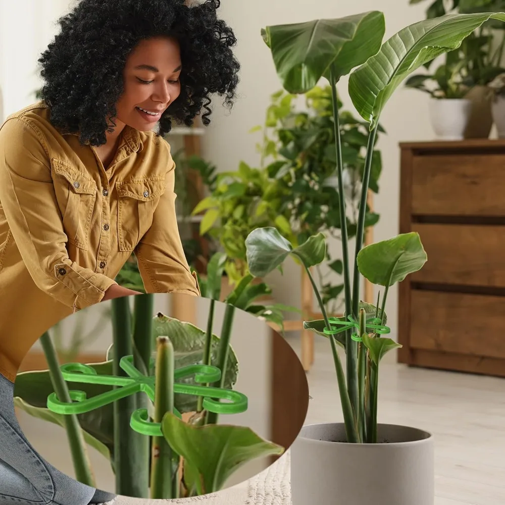 花植物茎サポートステーククライミング観葉植物スタンドフレーム - Indoor Herb Garden のレビューと価格