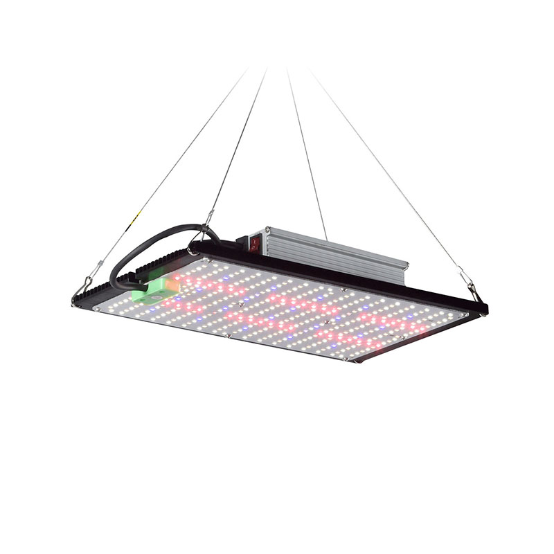 LED量子ボード育成ライト フルスペクトラム 吊り下げ式植物 - Grow Light Led のレビューと価格