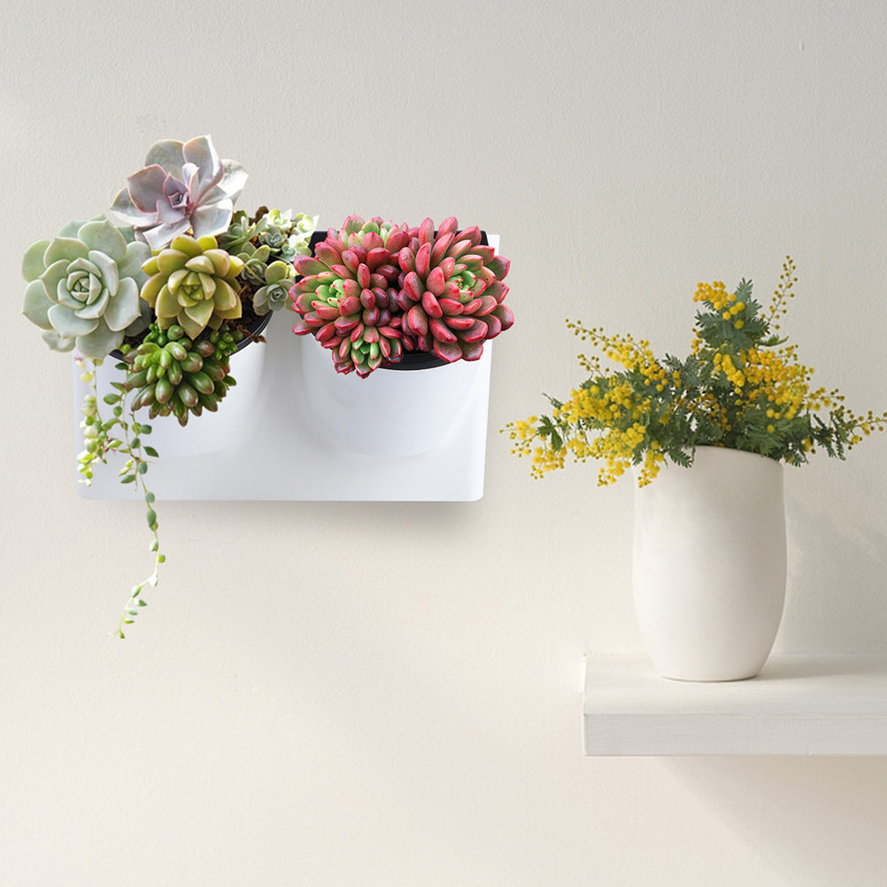 自動給水植木鉢 プラスチック製 バイオレット プランター 装 - Self Watering Planter のレビューと価格