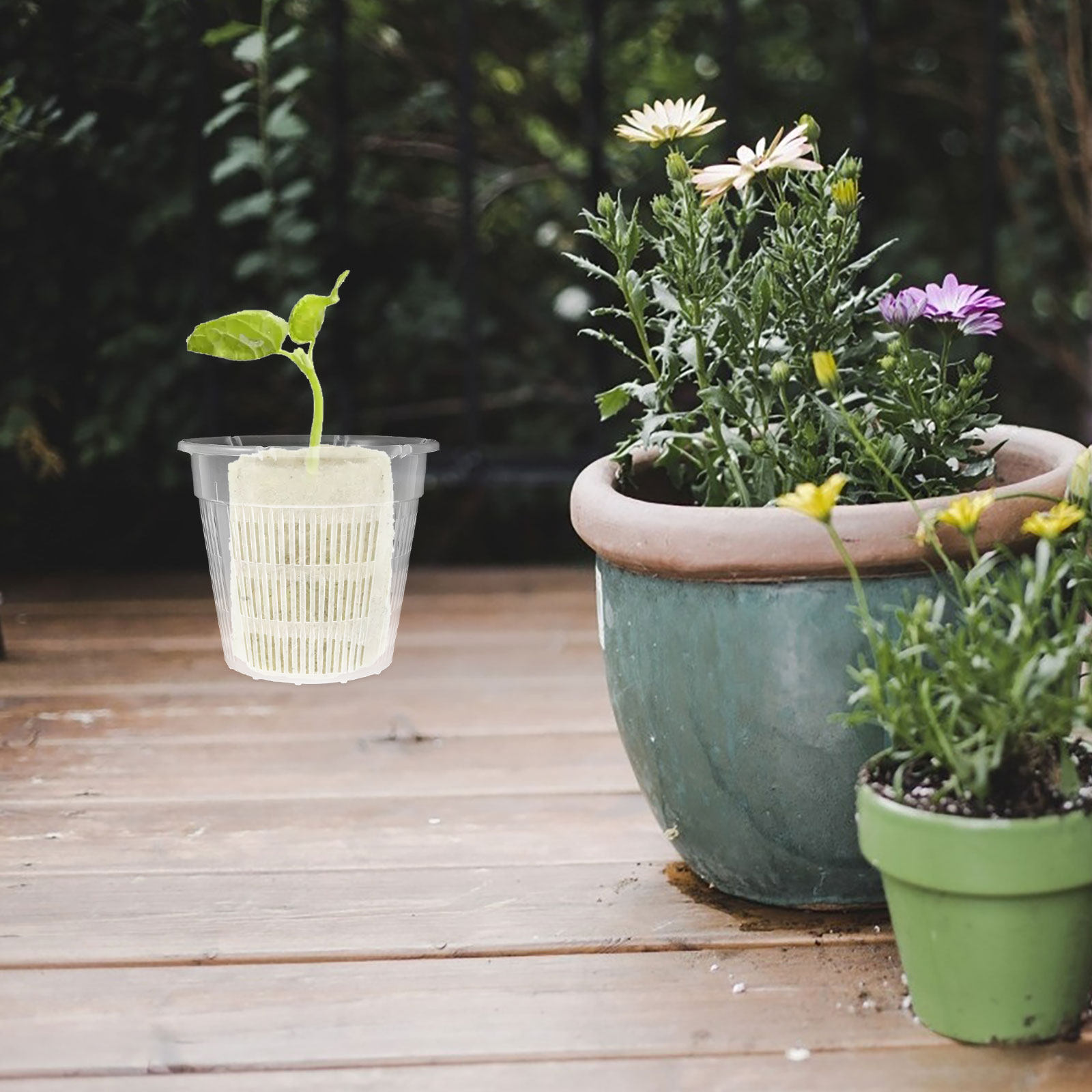 4個入り水耕栽培用植物バスケット、根の制御、土を使わない栽培 - Plant Pot のレビューと価格