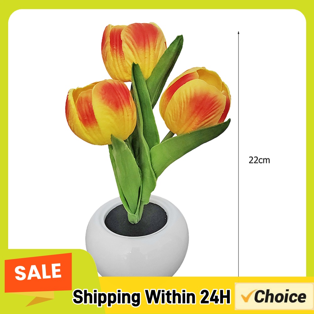 9x22cmの鉢植えのテーブルランプ。電池式で、チューリップ - Plant Pot のレビューと価格