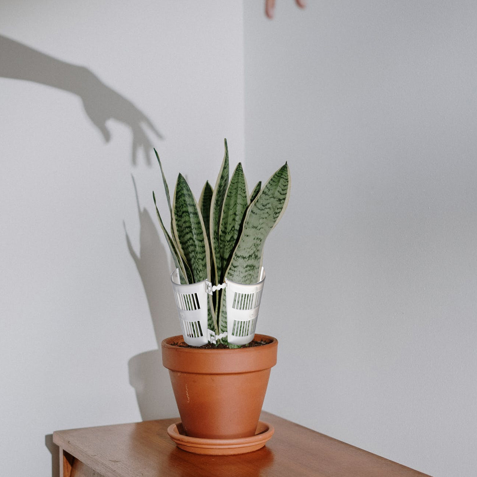 10個入り、根の生育を制御するプランター、透明な蘭の鉢、花を - Plant Pot のレビューと価格