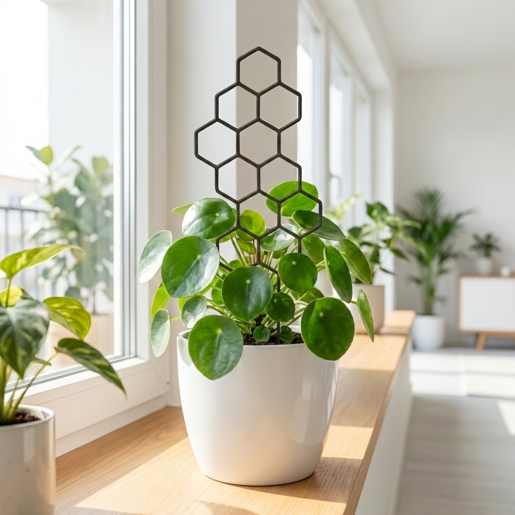 1/2パック屋内植物トレリスガーデントレリス、庭の鉢植え植物 - Indoor Herb Garden のレビューと価格