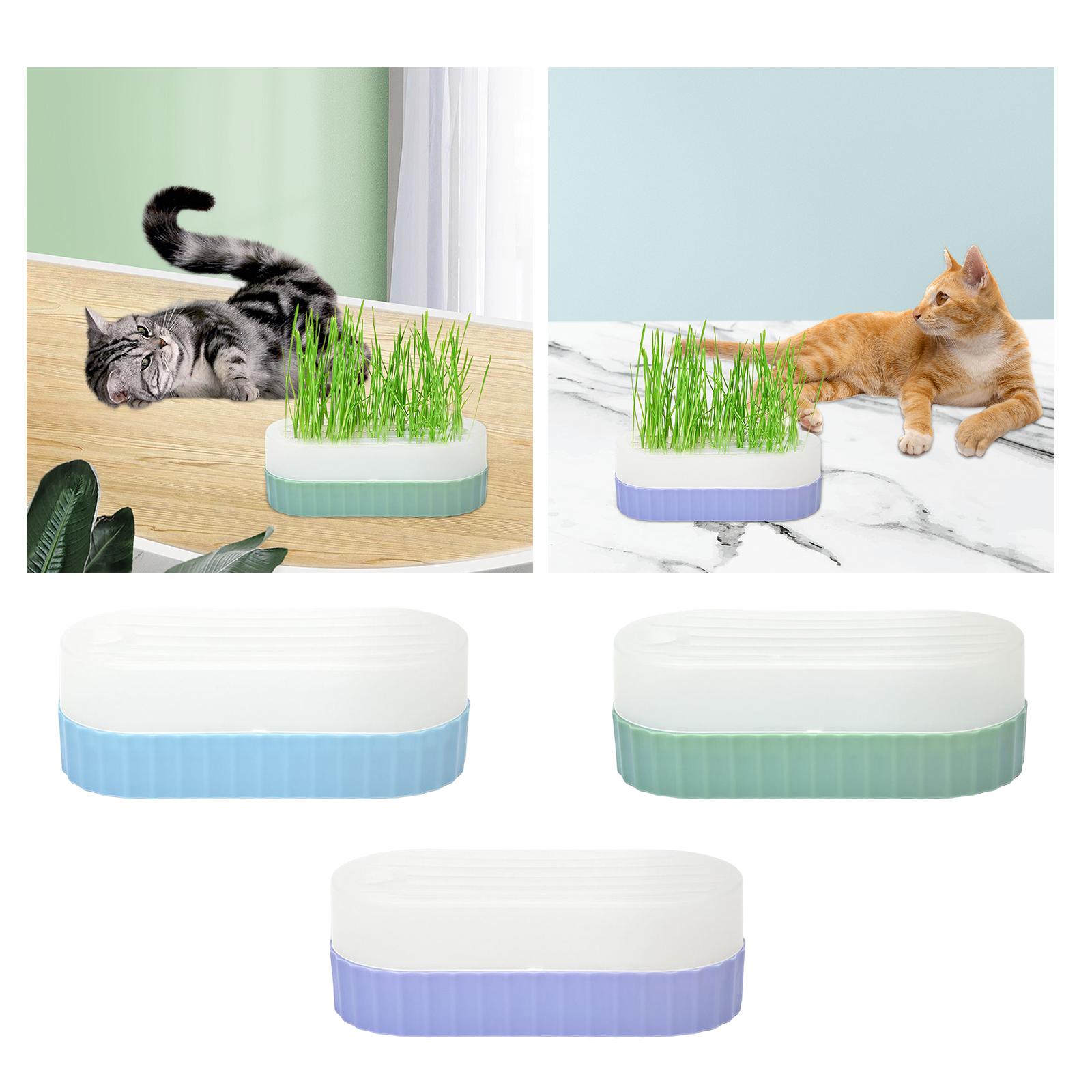 猫草栽培キット用の、水切り穴付きの育苗トレー。家庭菜園、オフ - Hydroponic Kit のレビューと価格