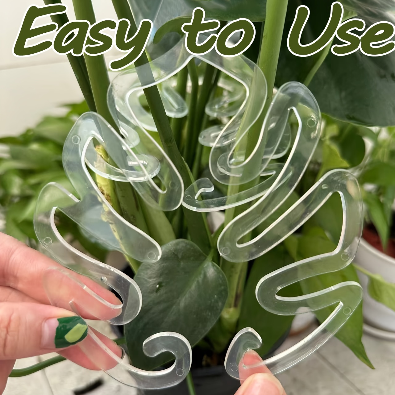 柔軟なプラスチック製のモンステラ植物サポートクリップ、垂直成 - Vertical Planter のレビューと価格