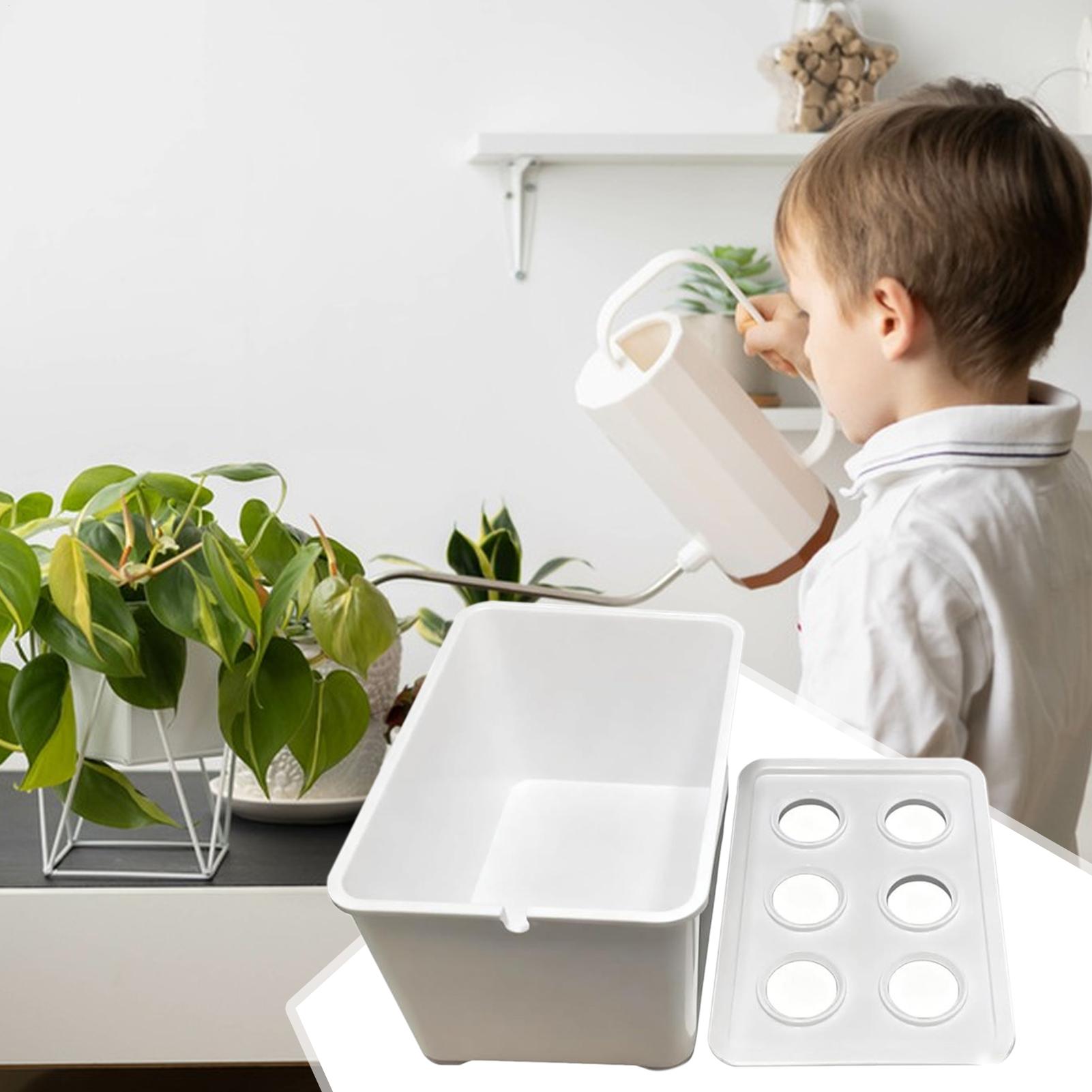 水耕栽培キット 初心者向け機器 家庭用水耕栽培苗システム レ - Hydroponic Kit のレビューと価格