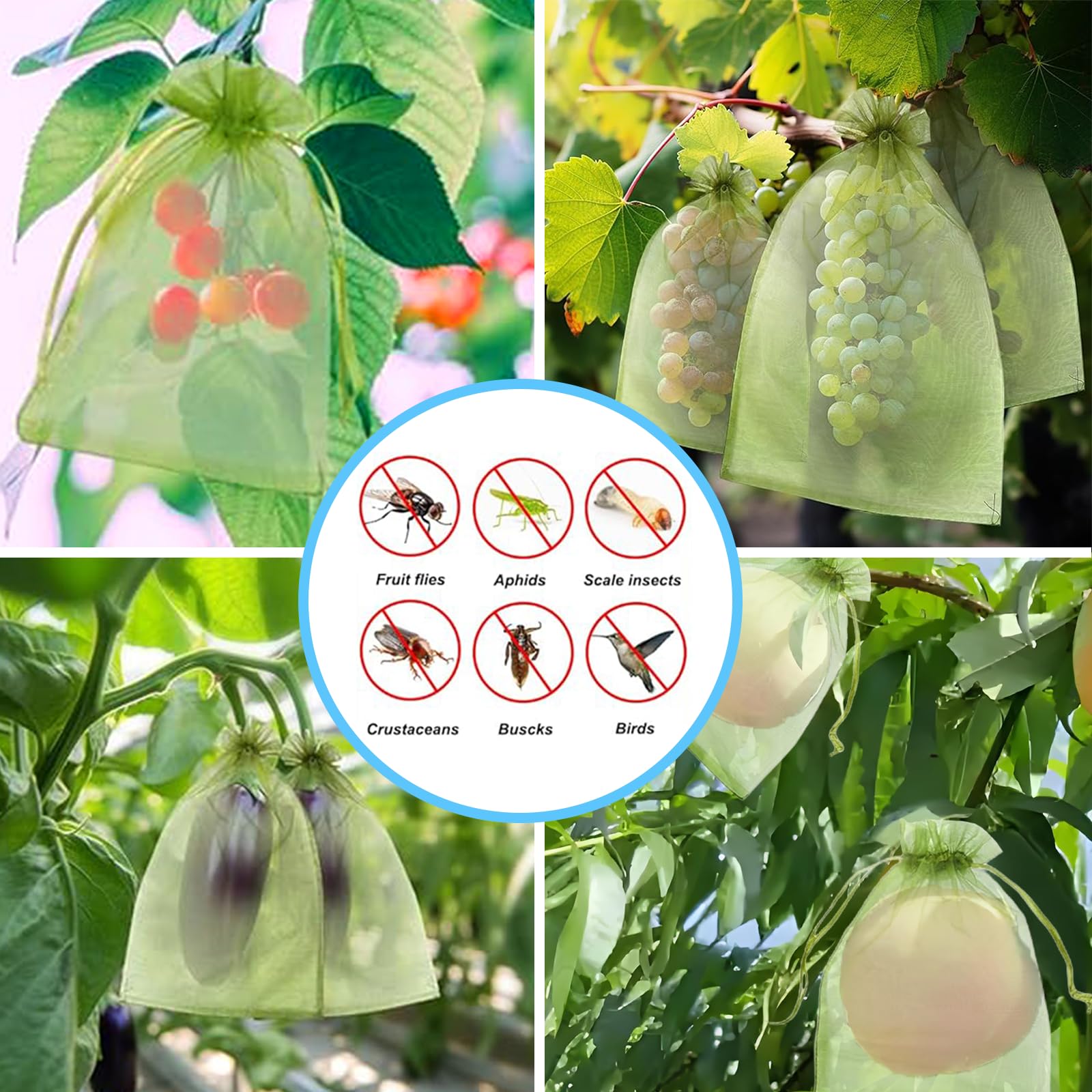 効果的な防鳥ネット、果物保護バッグ、植物育成カバー、イチゴ、 - Grow Bag のレビューと価格