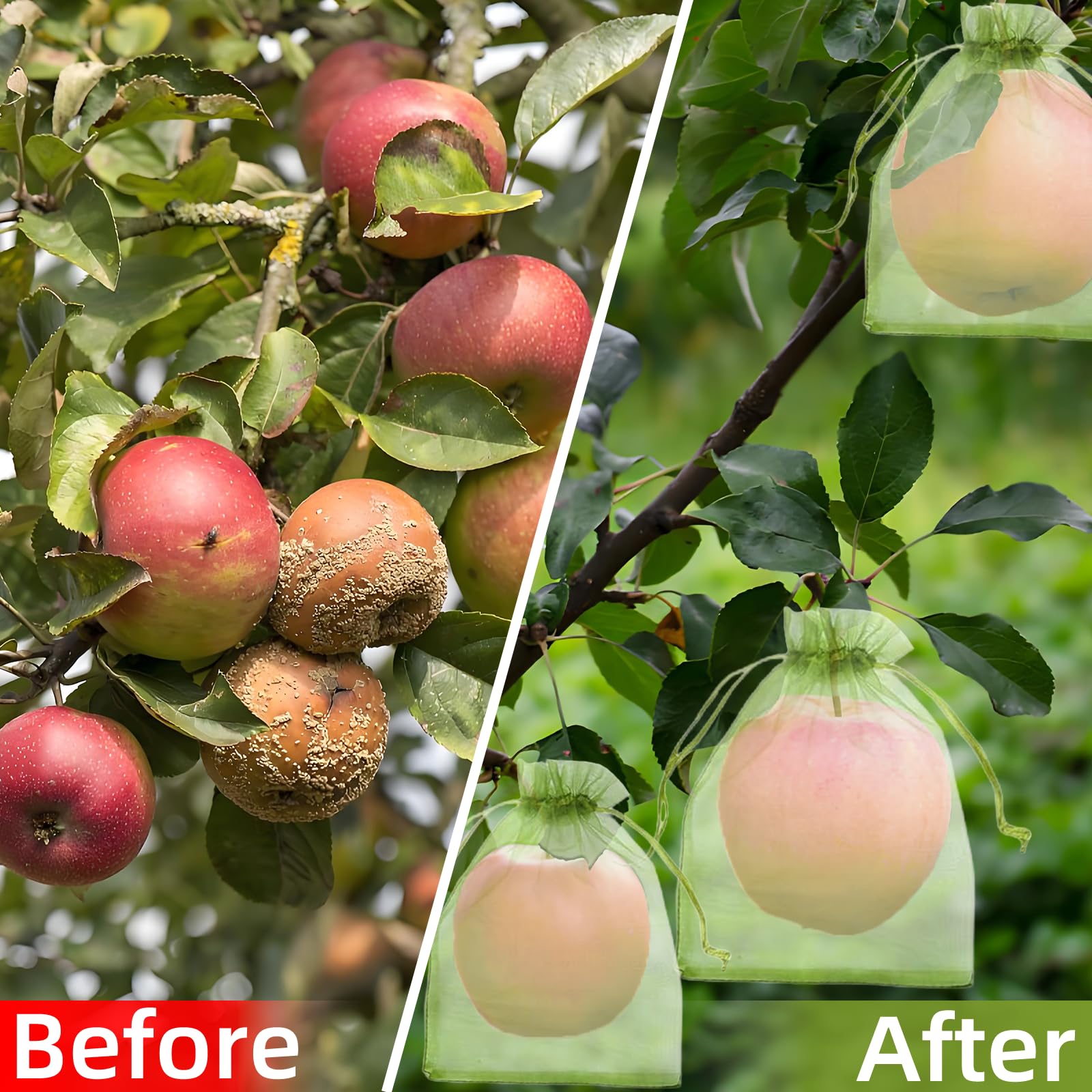 効果的な防鳥ネット、果物保護バッグ、植物育成カバー、イチゴ、 - Grow Bag のレビューと価格