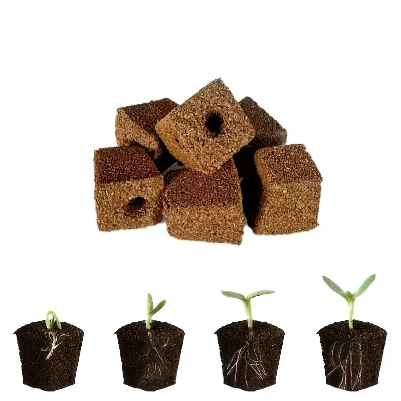 水耕栽培室内庭園システム用苗スタータースポンジキット、成長ス - Hydroponic Kit のレビューと価格