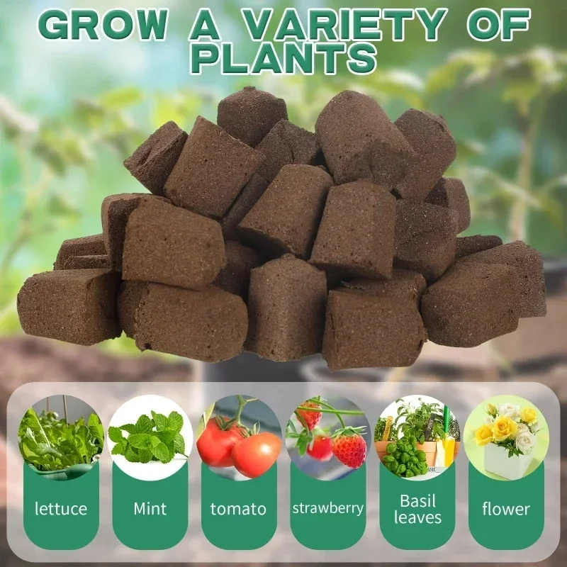 水耕栽培室内庭園システム用苗スタータースポンジキット、成長ス - Hydroponic Kit のレビューと価格