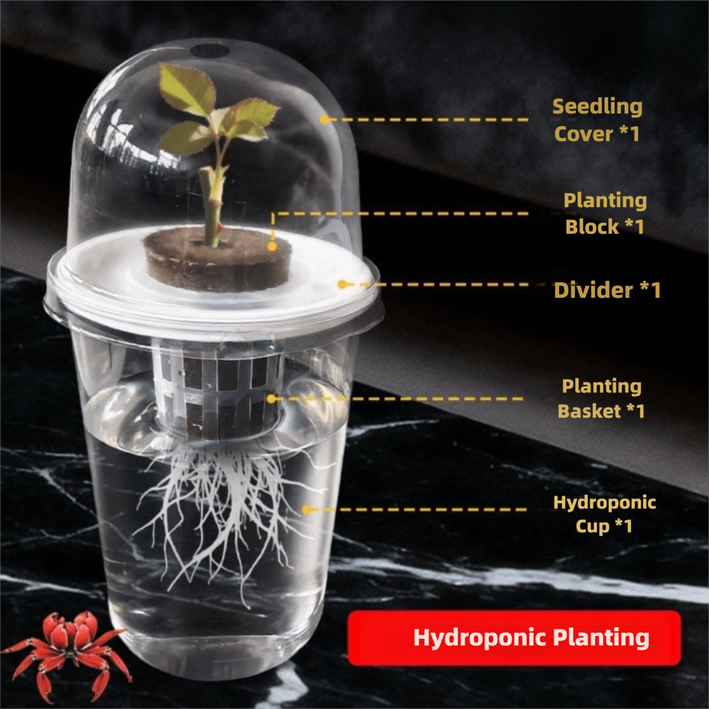 1～5個入り 透明な植物発芽カップ 水耕栽培種子プランターポ - Seed Starter Tray のレビューと価格