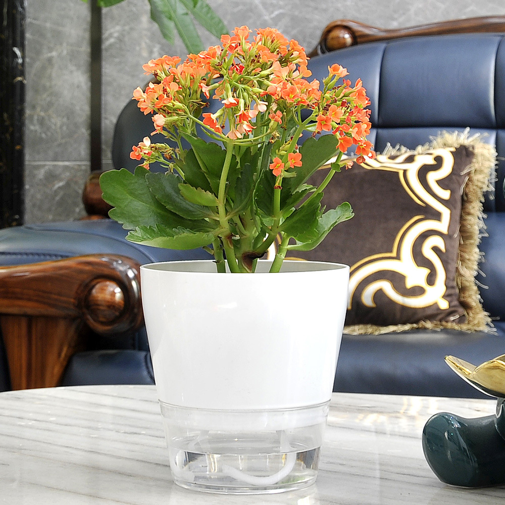排水穴のある怠惰な植木鉢,自己散水,透明な受け皿,屋内植物の - Self Watering Planter のレビューと価格