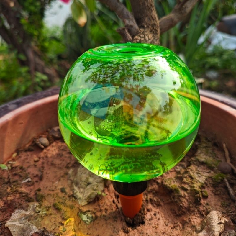 3個入り大型植物自動給水グローブ、プラスチック製水球、自動給 - Self Watering Planter のレビューと価格