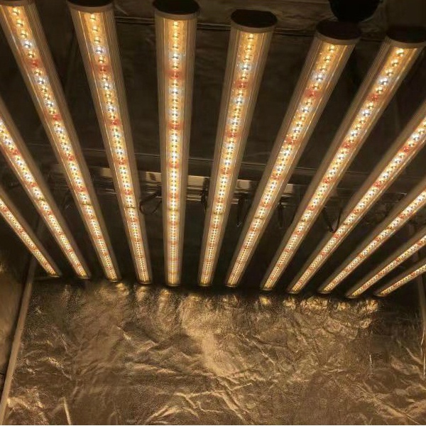 LUX中国工場製LED植物育成ライト12バー660w 100 - Grow Light Led のレビューと価格