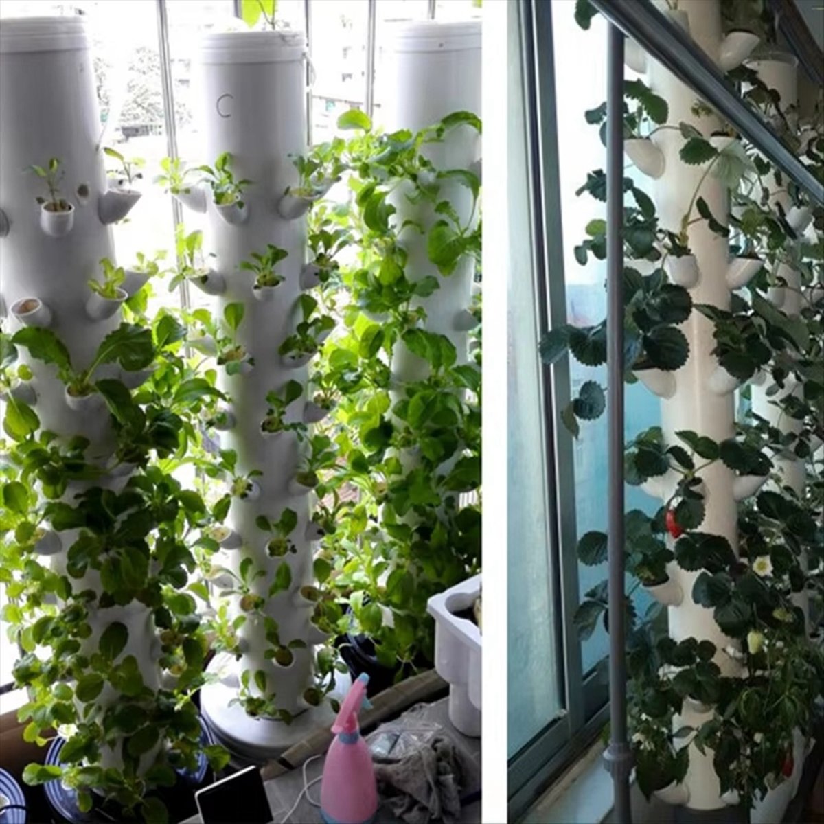水耕栽培用垂直タワーコンテナDIY水耕栽培カップフラワーコン - Plant Pot のレビューと価格