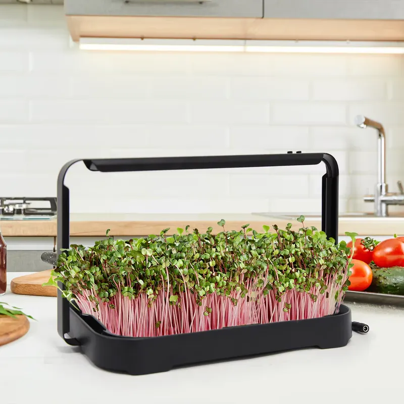 水耕栽培トレイ 室内マイクログリーン マイクログリーン種子  - Hydroponic Kit のレビューと価格