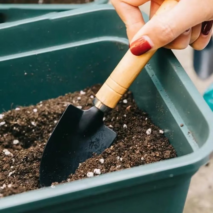 3点セット ミニガーデニングツールセット 携帯用熊手、移植ス - Trowel Garden Tools のレビューと価格