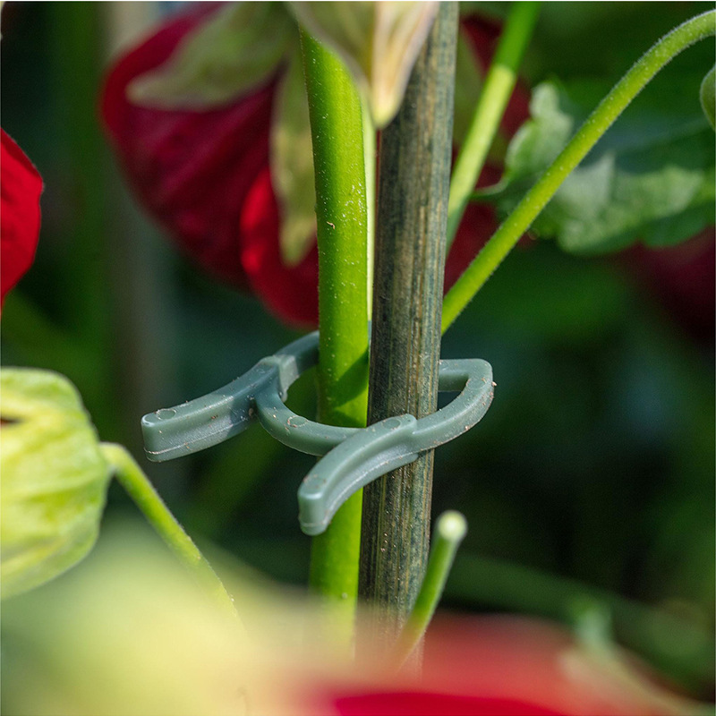 50/100個入り ガーデン植物クリップ つる性植物用垂直栽 - Vertical Planter のレビューと価格