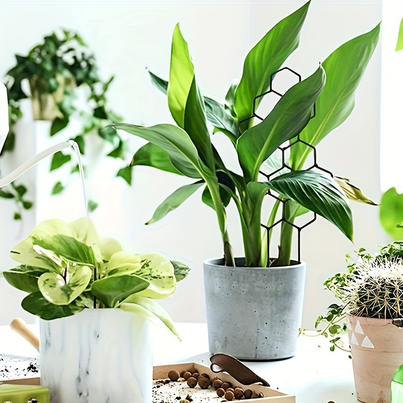 1PC ハニカムデザイン植物トレリス、鉢植えのつるや花用の防 - Indoor Herb Garden のレビューと価格