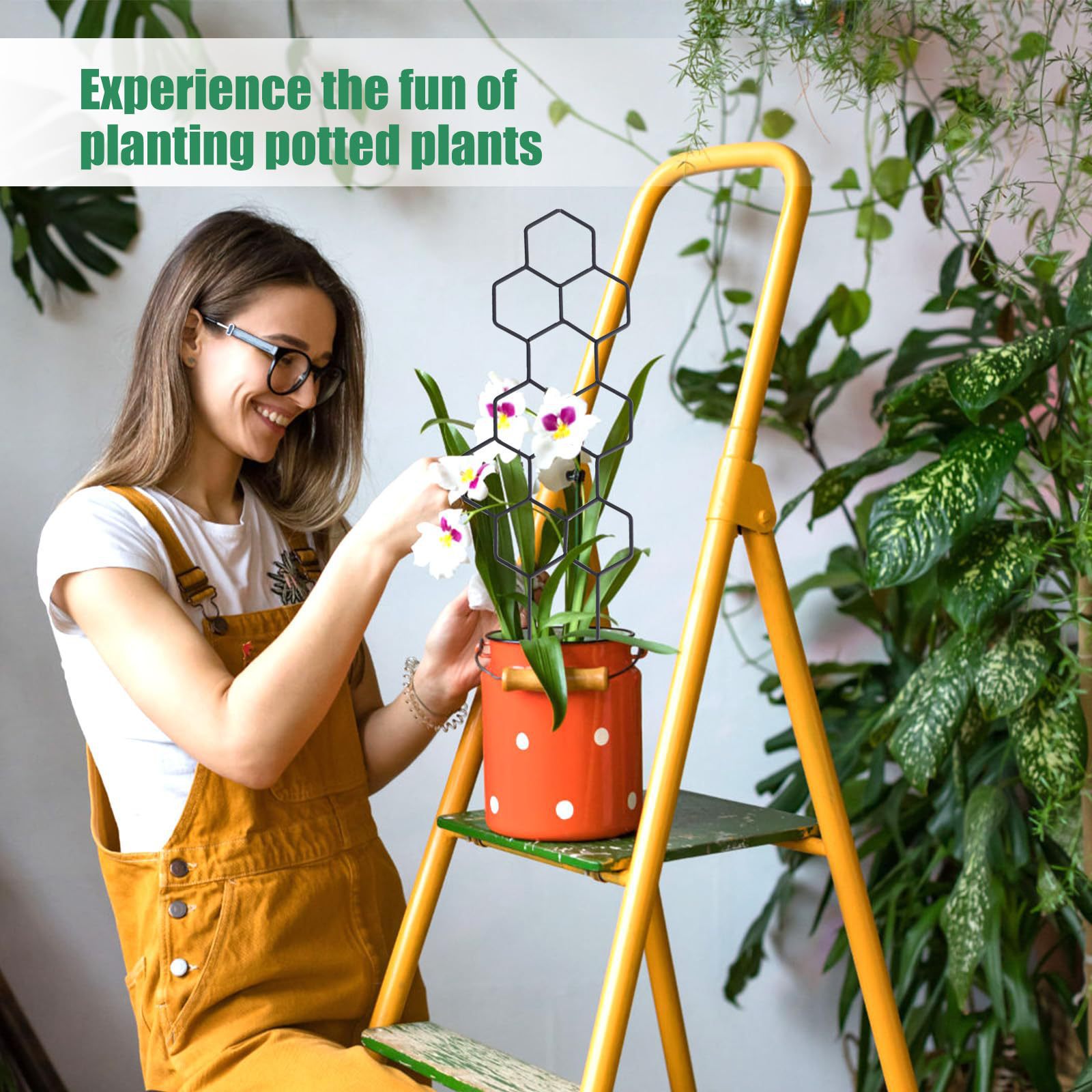 1PC ハニカムデザイン植物トレリス、鉢植えのつるや花用の防 - Indoor Herb Garden のレビューと価格